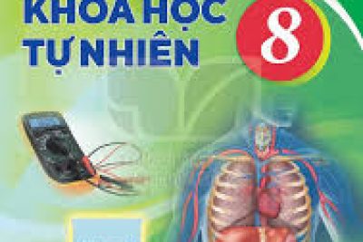 Vật lí 8_Bài 20: Hiện tượng nhiễm điện do cọ xát
