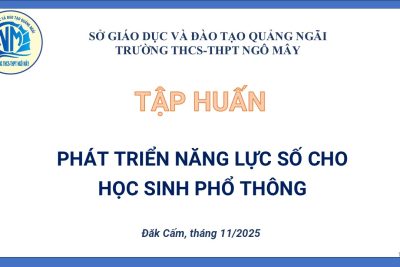 Tập huấn phát triển năng lực số cho học sinh THCS, THPT